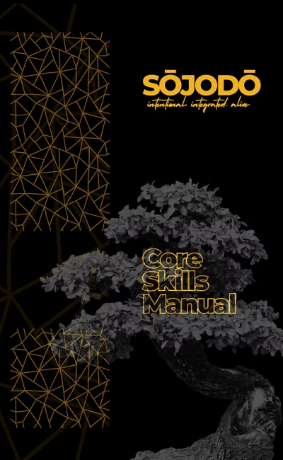 image_2025-06-27_092842517